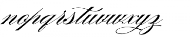 Burgues Script Font LOWERCASE