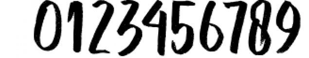 BUNDLE (Fonts Colection) 42 Font OTHER CHARS