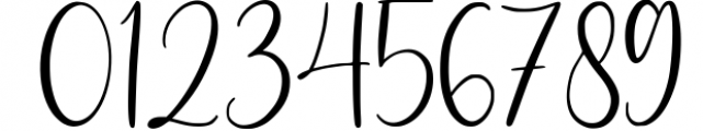 Bullvetti // Elegant Script Font Font OTHER CHARS