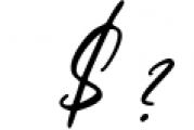 Bundle - Signature Font Pack 1 Font OTHER CHARS