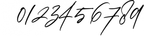 Bundle - Signature Font Pack 3 Font OTHER CHARS