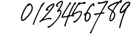 Bundle - Signature Font Pack Font OTHER CHARS