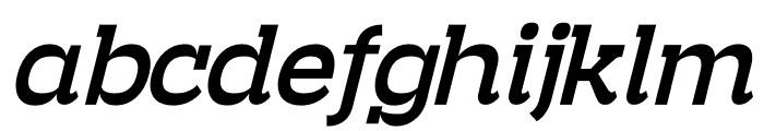 Burgela DEMO VERSION Italic FONT