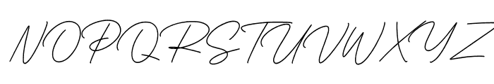 Business Signature D Font UPPERCASE