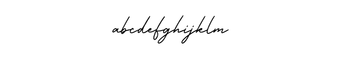 Business Signature D Font LOWERCASE