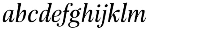 Buccardi Pro Italic Font LOWERCASE
