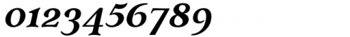Budinger Oldstyle Bold Italic Font OTHER CHARS