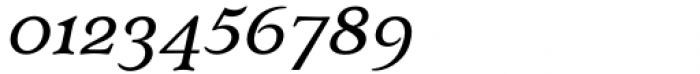 Budinger Oldstyle Medium Italic Font OTHER CHARS