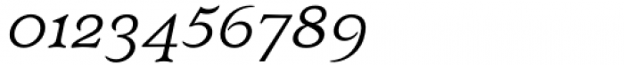 Budinger Oldstyle Regular Italic Font OTHER CHARS