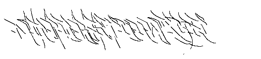 Burner Graffiti Burner Detail Burner Detail Font UPPERCASE