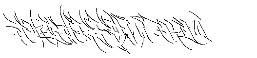 Burner Graffiti Burner Detail Burner Detail FONT