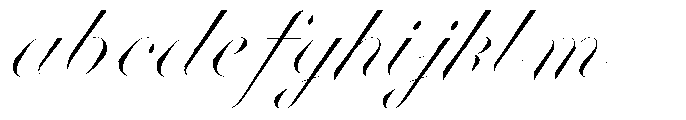 Business Blooming Display FONT