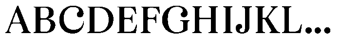 Business Serif Bold Font UPPERCASE