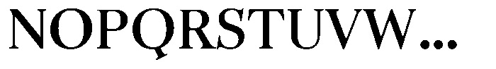 Business Serif Bold Font UPPERCASE