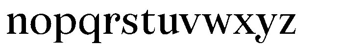 Business Serif Bold Font LOWERCASE