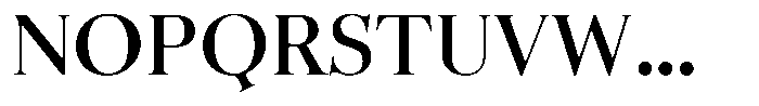 Business Serif Display Bold Font UPPERCASE