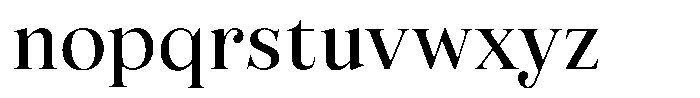 Business Serif Display Bold Font LOWERCASE