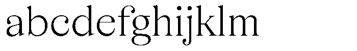 Business Serif Display Light FONT