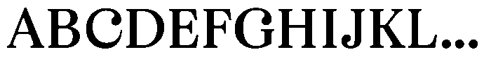 Business Serif Text Bold Font UPPERCASE