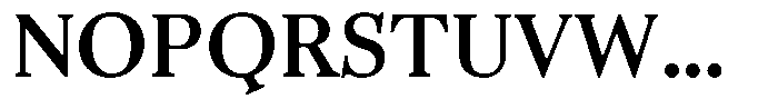 Business Serif Text Bold Font UPPERCASE