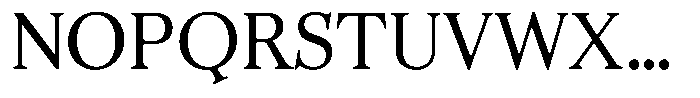 Business Serif Text Regular Font UPPERCASE