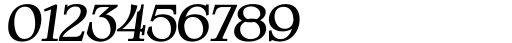 Bustor Rhikan Oblique Font OTHER CHARS