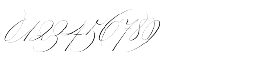 Bustra Script Pro Extra Light Font OTHER CHARS
