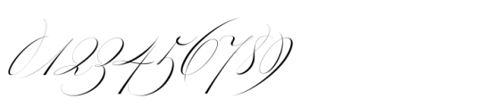 Bustra Script Pro Variable Font OTHER CHARS