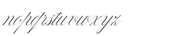 Bustra Script Pro Variable Font LOWERCASE