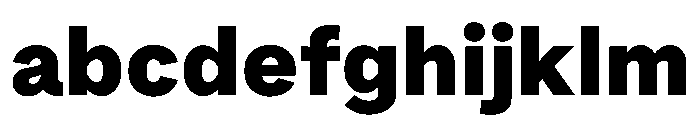 Bull 5Normal Black Instance FONT