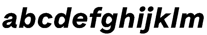 Bull 5Normal BoldItalic Instance FONT