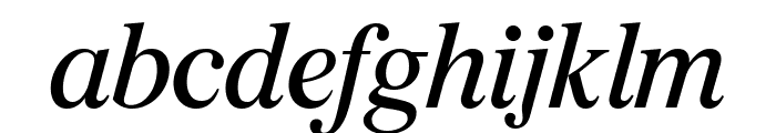 Burgess Italic Font LOWERCASE
