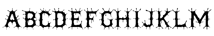 bv Font UPPERCASE