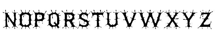 bv Font UPPERCASE