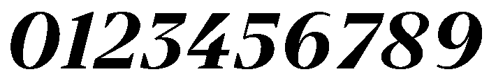 BVHBart HeavyItalic Font OTHER CHARS