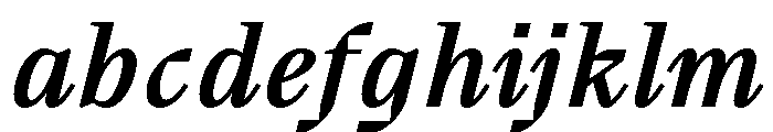 BVHBart TextMediumItalic FONT