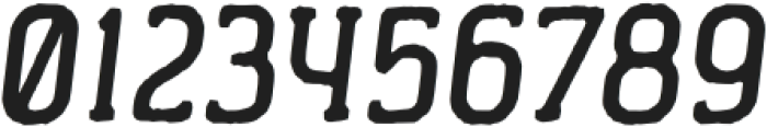 Byrdens Italic otf (400) Font OTHER CHARS