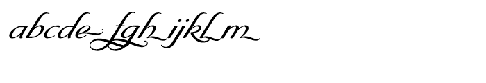 Byron Medium Swash Font LOWERCASE