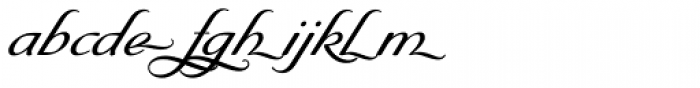 Byron RR Swash Medium Regular Font LOWERCASE