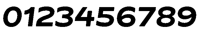 Byrd BoldItalic Font OTHER CHARS