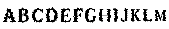 C20 Regular FONT