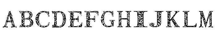 C5 Regular Font UPPERCASE