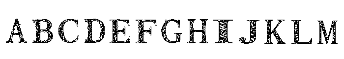 C5 Regular FONT