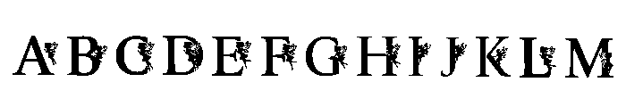 C6 Regular FONT