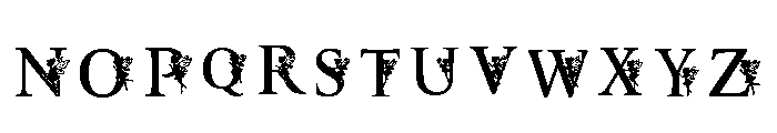 C6 Regular Font LOWERCASE