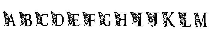 C8 Regular FONT