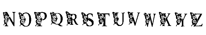 C8 Regular Font LOWERCASE