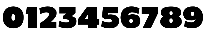 C800 Regular Font OTHER CHARS