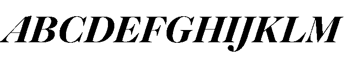 Caslonian Std L Heavy Italic Font UPPERCASE