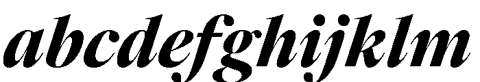 Caslonian Std L Heavy Italic FONT